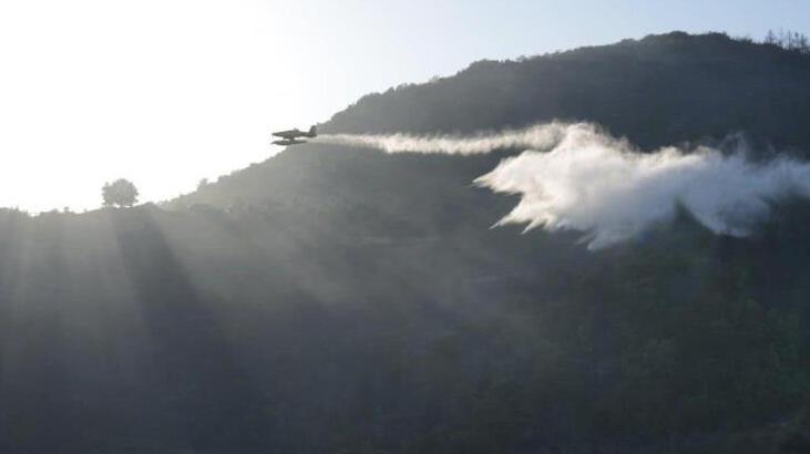 Osmaniye’deki orman yangınında yeni gelişme! Kontrol altına alındı