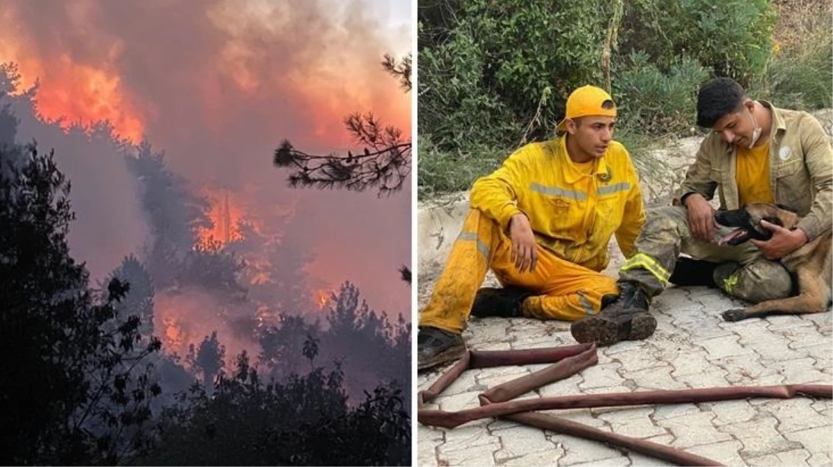 Son Dakika: 3 ilde devam eden orman yangınlarıyla ilgili tespit edilen 7 şüpheliden 2’si tutuklandı
