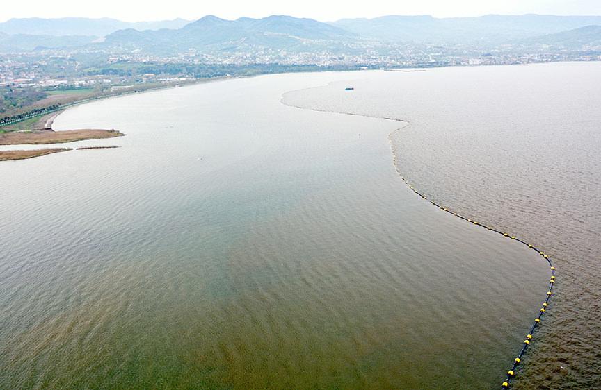 Marmara Denizi dipten diriliyor! Körfez akvaryuma dönecek