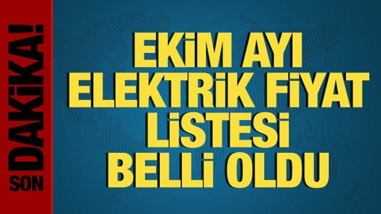 Ekim ayı elektrik fiyat tarifesi belli oldu! Sanayi elektriğine zam geldi