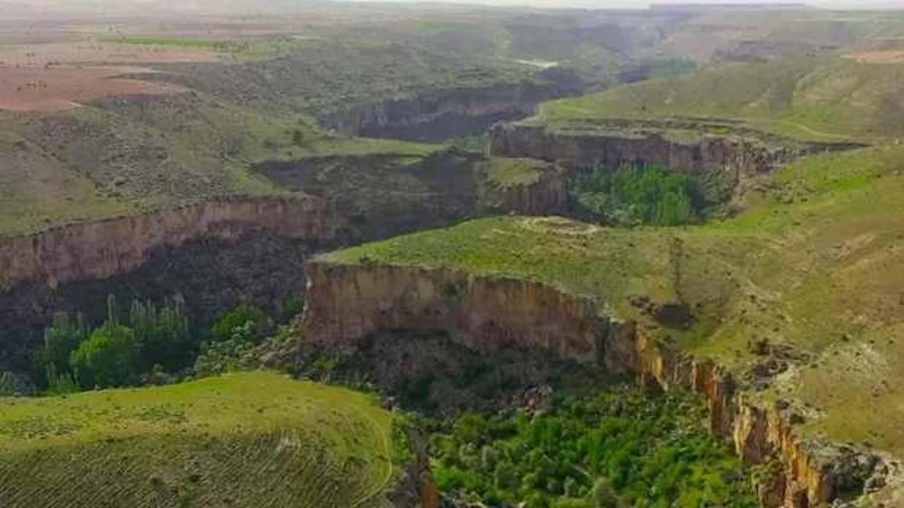 Bakan Özhaseki açıkladı! Ihlara Vadisi’nde yeni türler tespit edildi