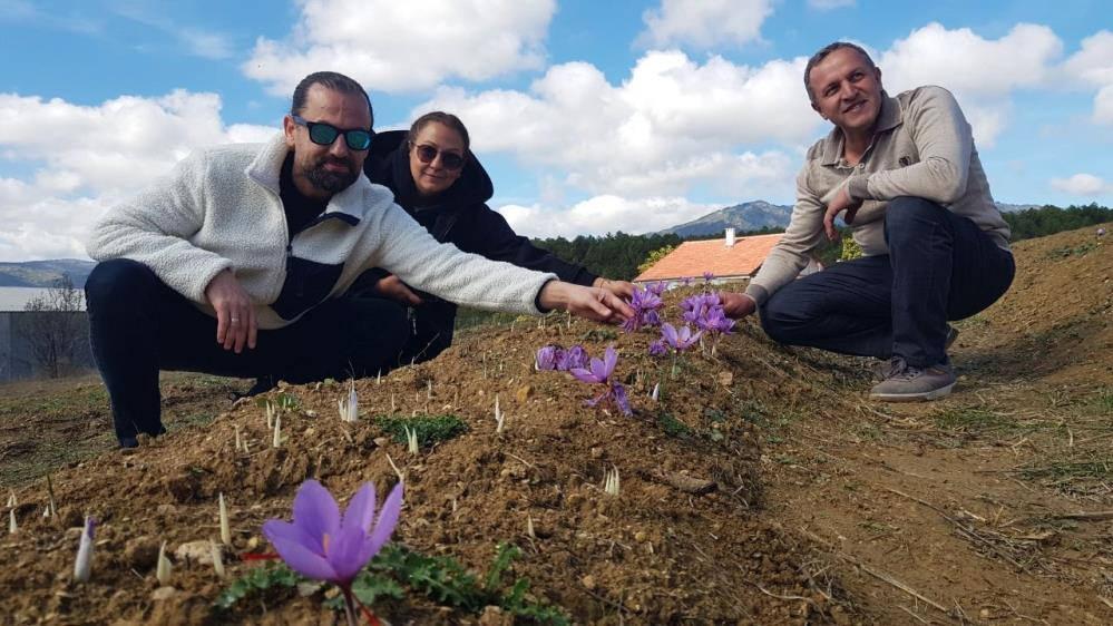 Doktorluğu bırakıp çiftçiliğe başladı! Kilosu 250 bin lira