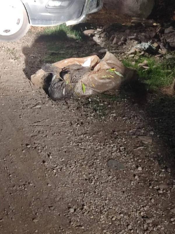 Miras tartışmasında yeğeni ile eşi tarafından vahşice öldürüldü