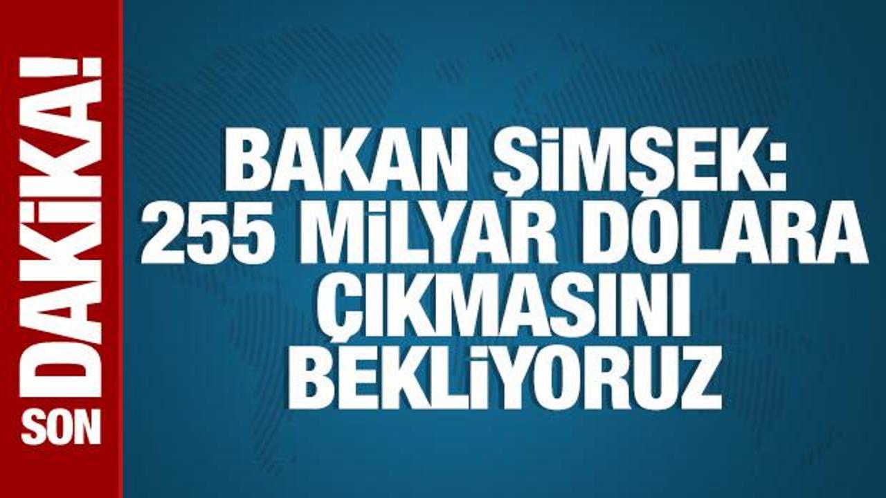 Bakan Şimşek: 255 milyar dolar bekliyoruz