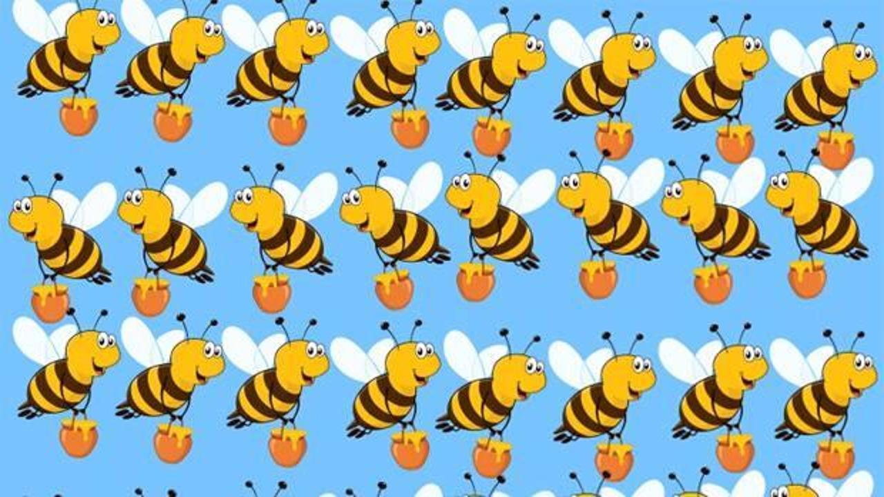 Resimde diğerlerinden farklı olan bal arısını 9 saniye içerisine fark edebilir misin?