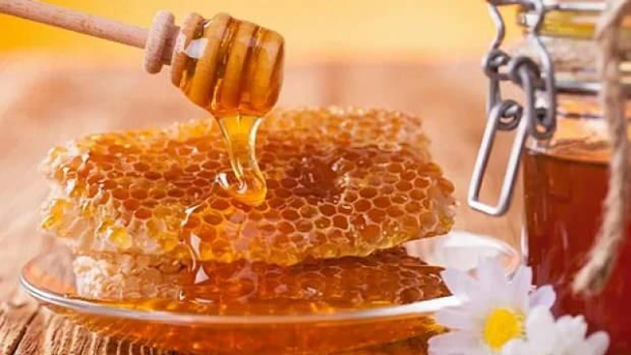 Türk balı 9 ayda 52 ülkede satıldı!