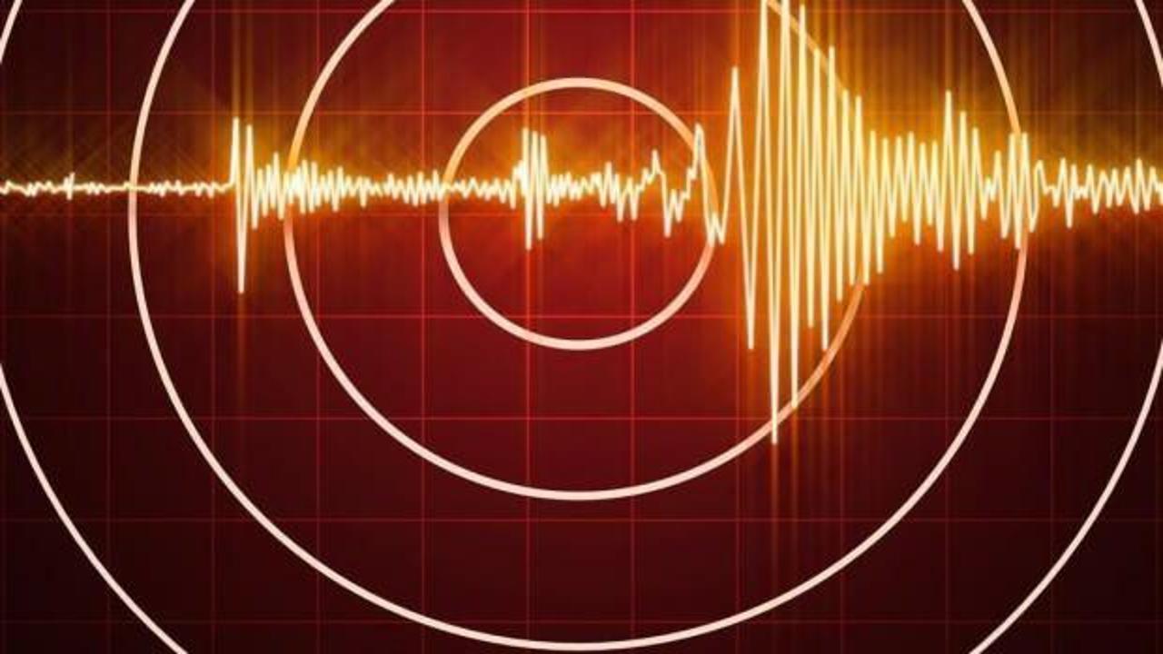 Van sallandı! Korkutan deprem meydana geldi