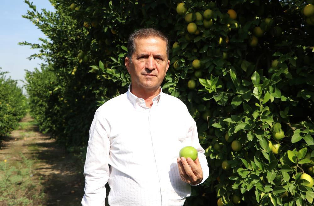 Limon dalında kaldı, üretici limonata çözümü bekliyor