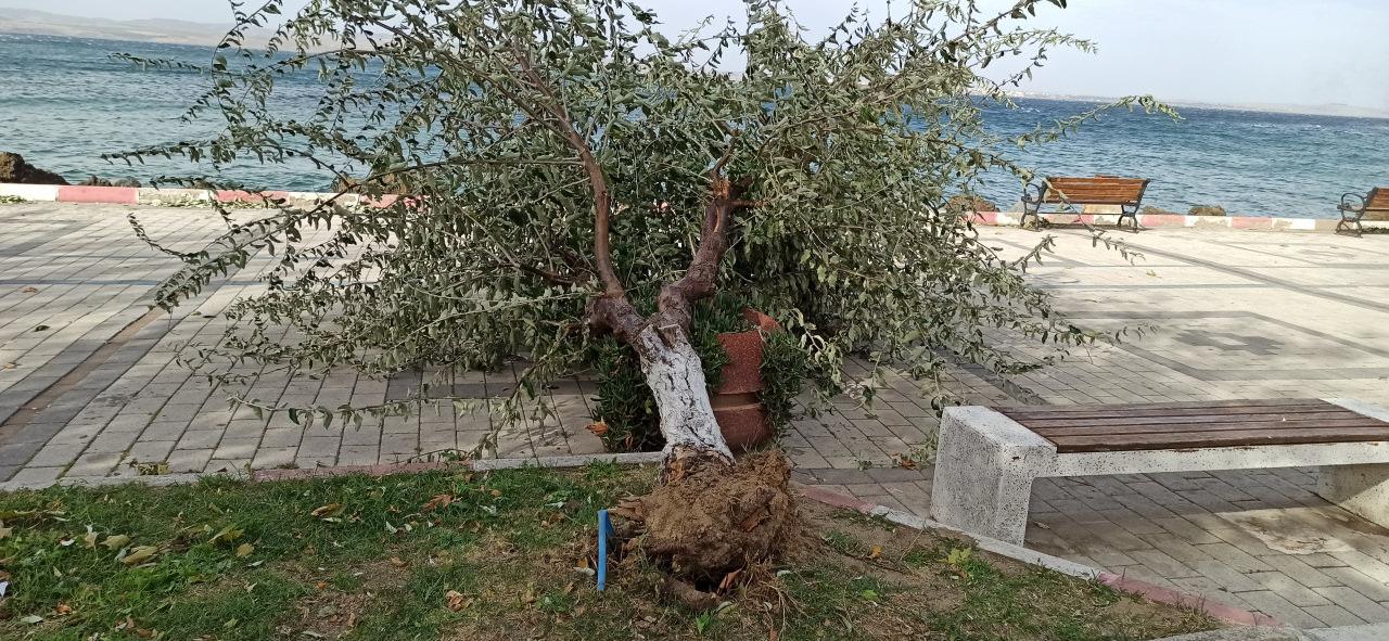 Son Dakika: Çanakkale Boğazı trafiğe kapandı!