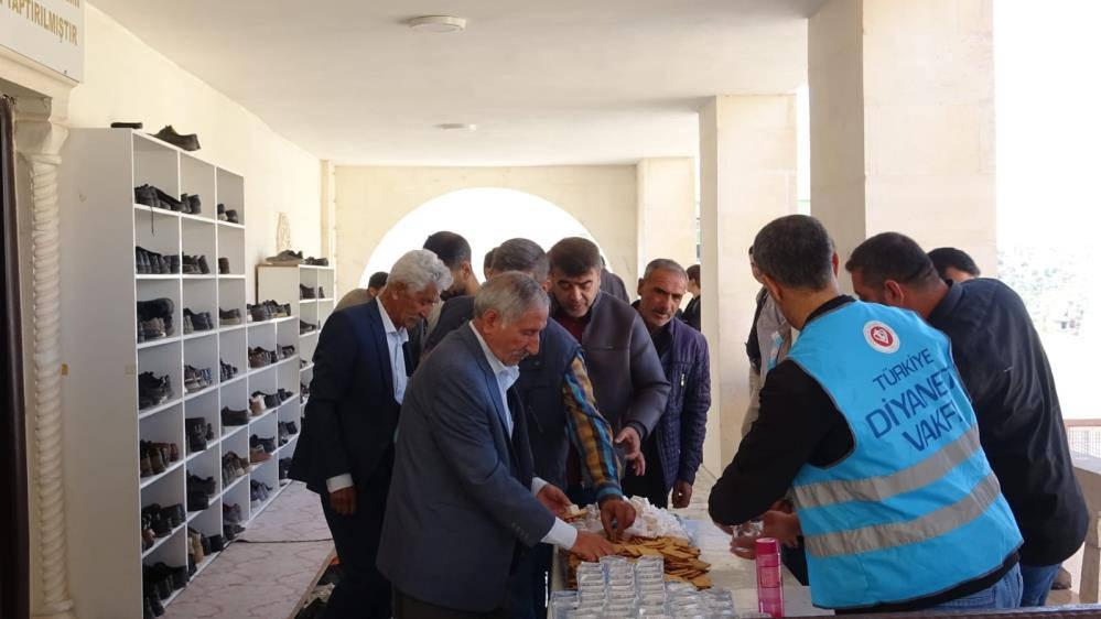 Görevi başında şehit edilen Kaymakam Safitürk zeytin fidanı dikilerek anıldı