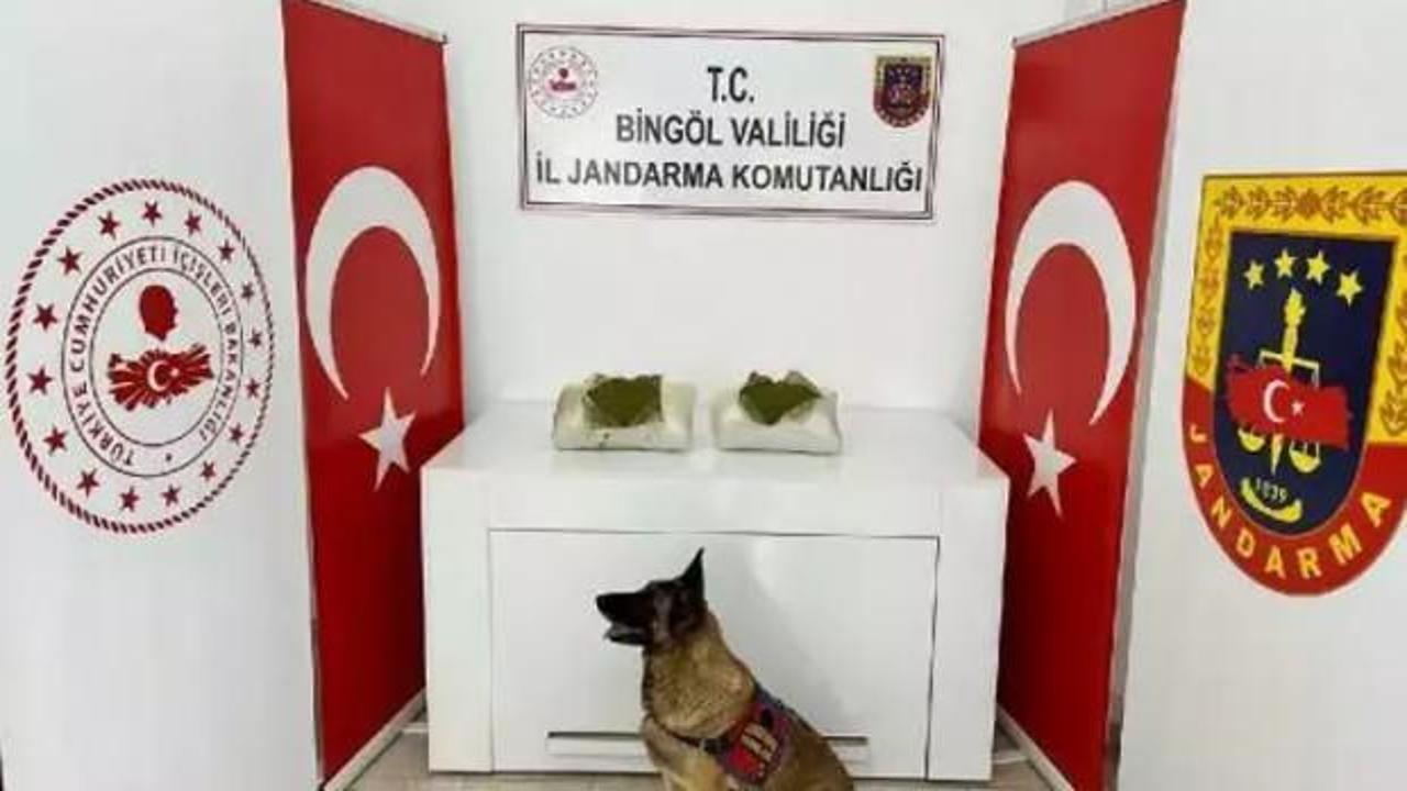 Bingöl’de uyuşturucu operasyonu