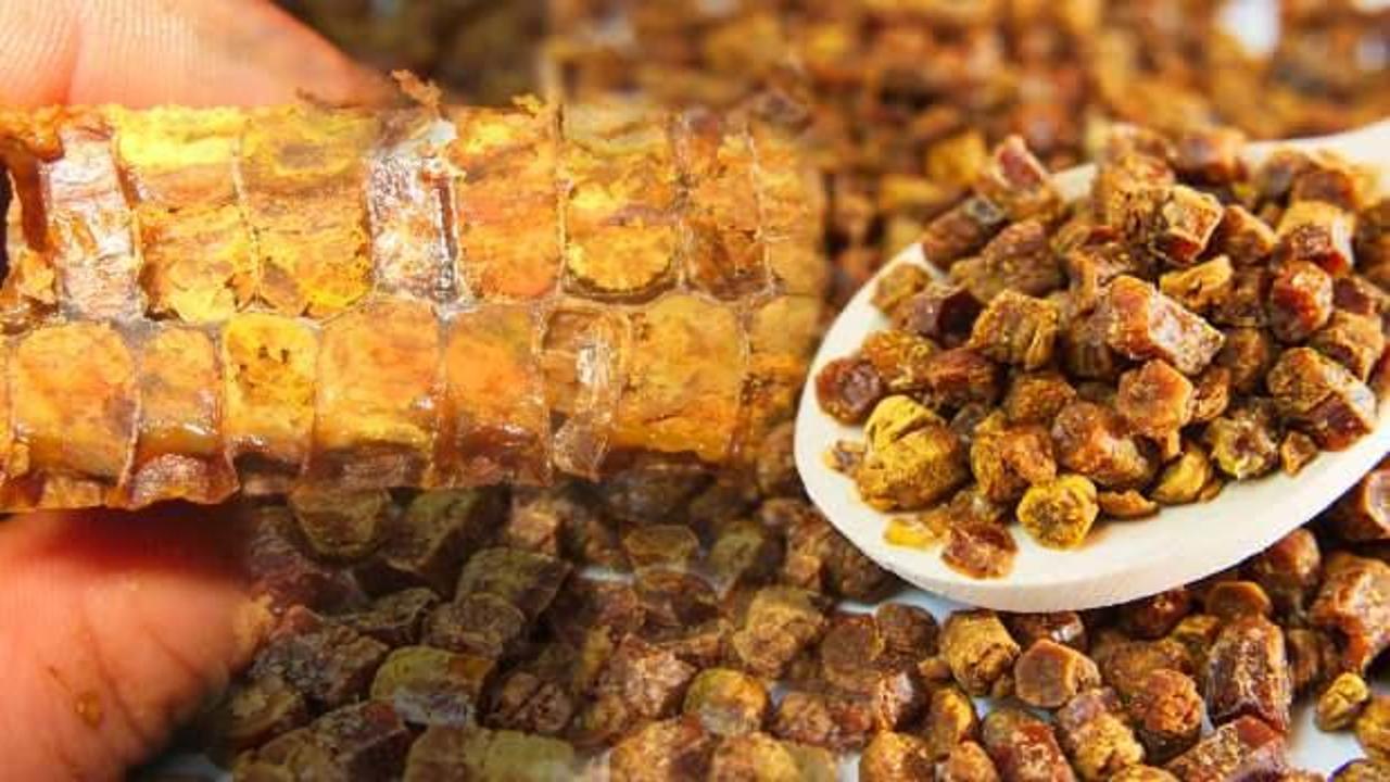 Arı ekmeği nedir, nasıl yapılır? Arı ekmeği faydaları nelerdir?