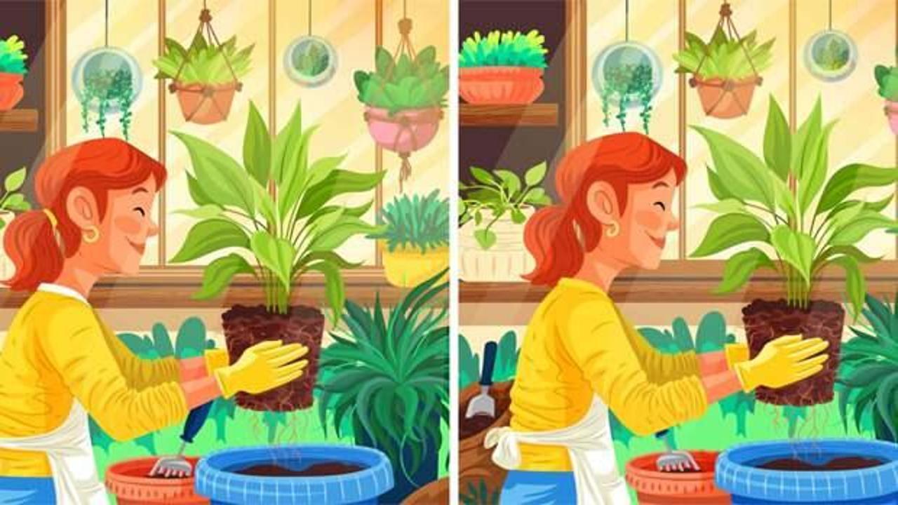 Çiçekçi kadının iki görüntüsü arasındaki 10 farkı 30 saniye içerisinde bulabilir misiniz?