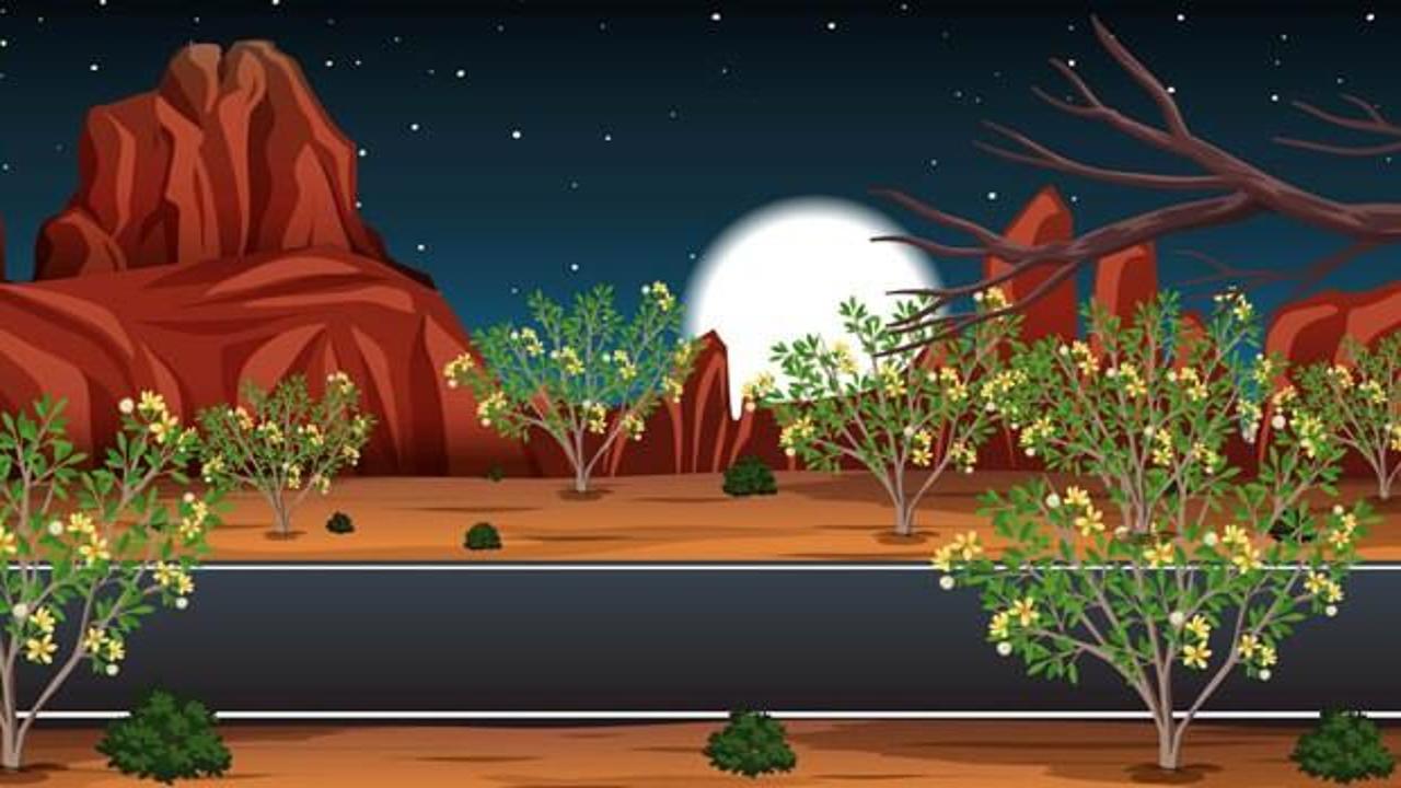 Şahin kadar keskin gözlere özel: Görselde saklanan tilkiyi 6 saniye içerisinde bulabilir misiniz?