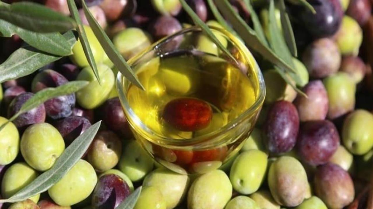 Sektörden zeytinyağı fiyatlarıyla ilgili açıklama