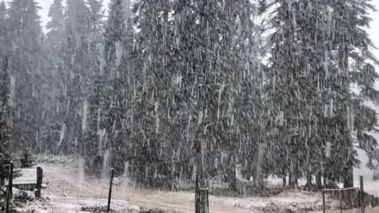 Yılın ilk kar yağışı başladı