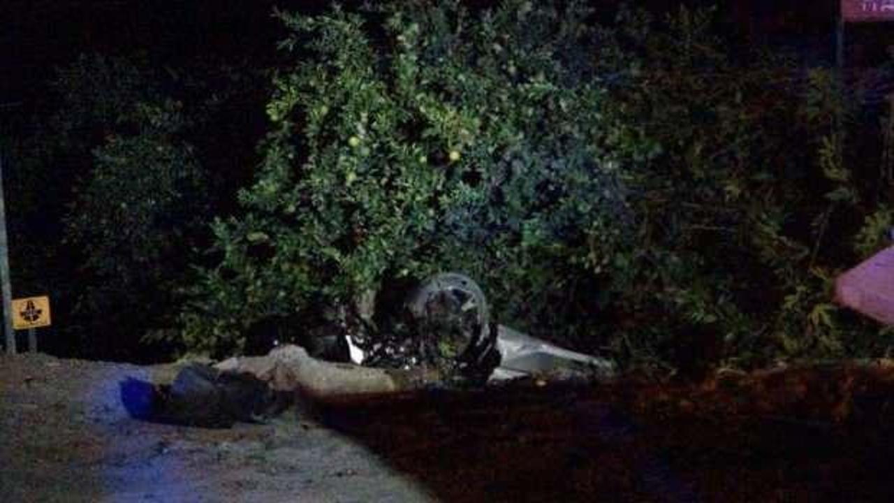 Yola çıkan köpekler ardı ardına iki kazaya neden oldu: 1 ölü, 2 yaralı