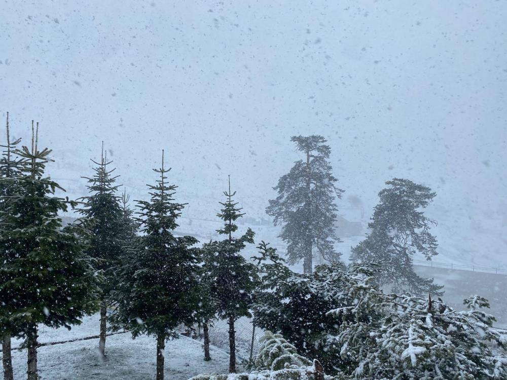 Bolu'da Nisan ayında lapa lapa kar yağdı