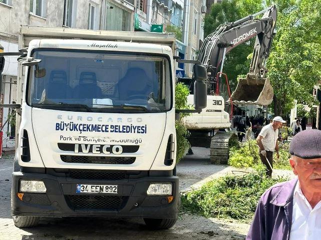 İstanbul'da ağaç katliamı! Esnaf ve vatandaş tepki gösterdi