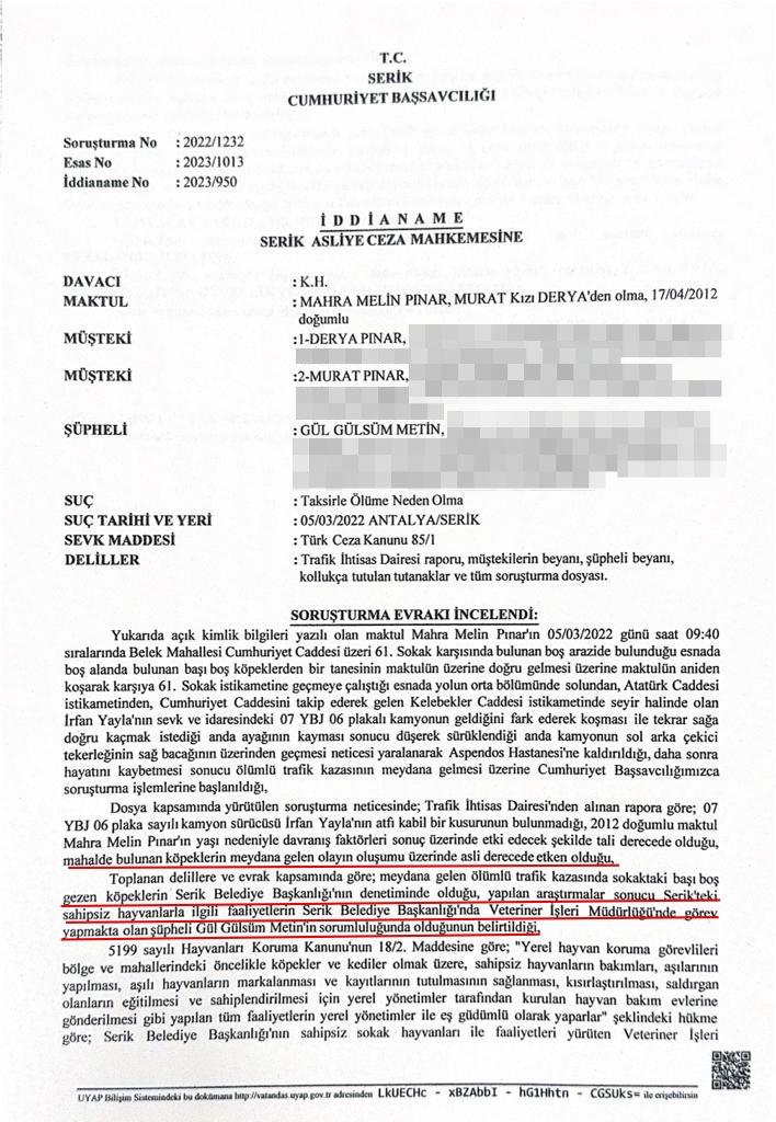 Adli tıp raporları ortaya çıktı! Katilleri başıboş köpekler