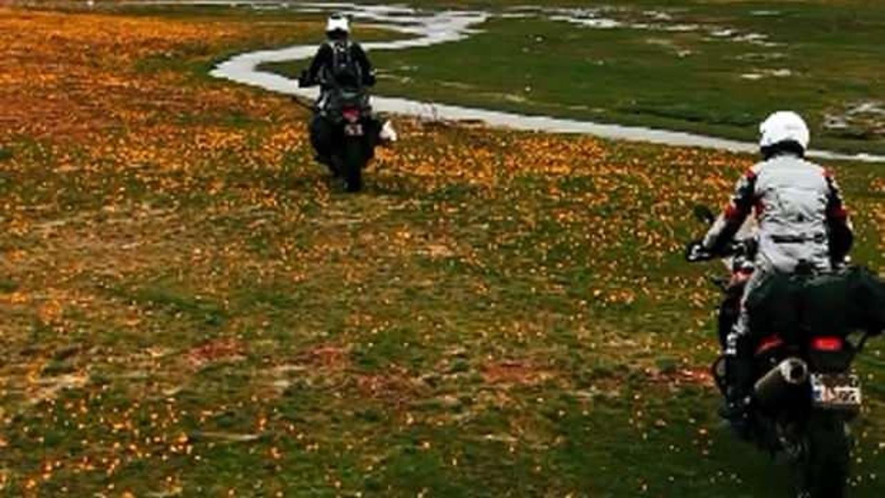 Endemik çiçekleri motosikletle ezdiler