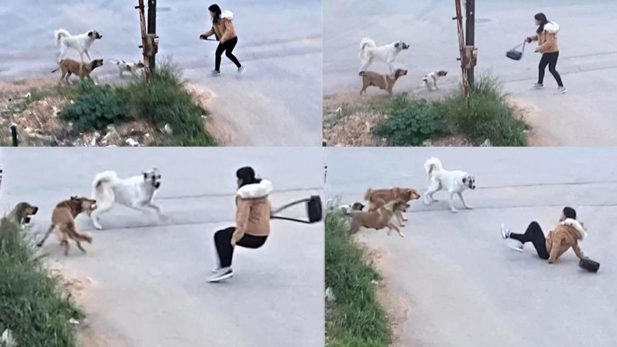 3 bakanlığın çalışmasında sona gelindi: Can yakan problem çözüme kavuşuyor...