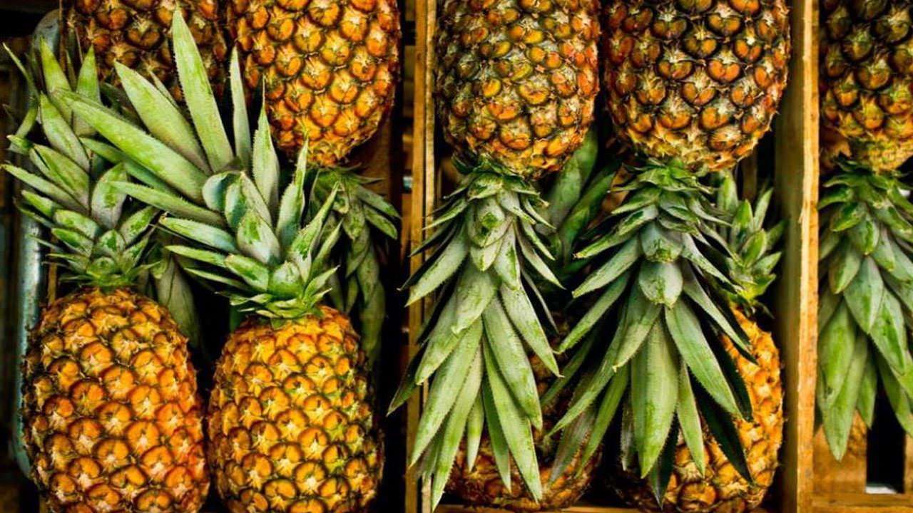 Ananas yedikten sonra dilde yanma neden olur? Ananas dilimi yaktı ne yapmalıyım?