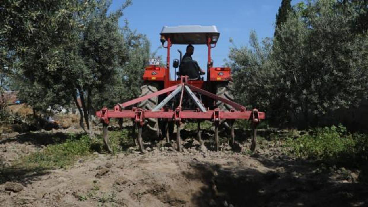 Bahçesini çapaladı, altın fışkırdı