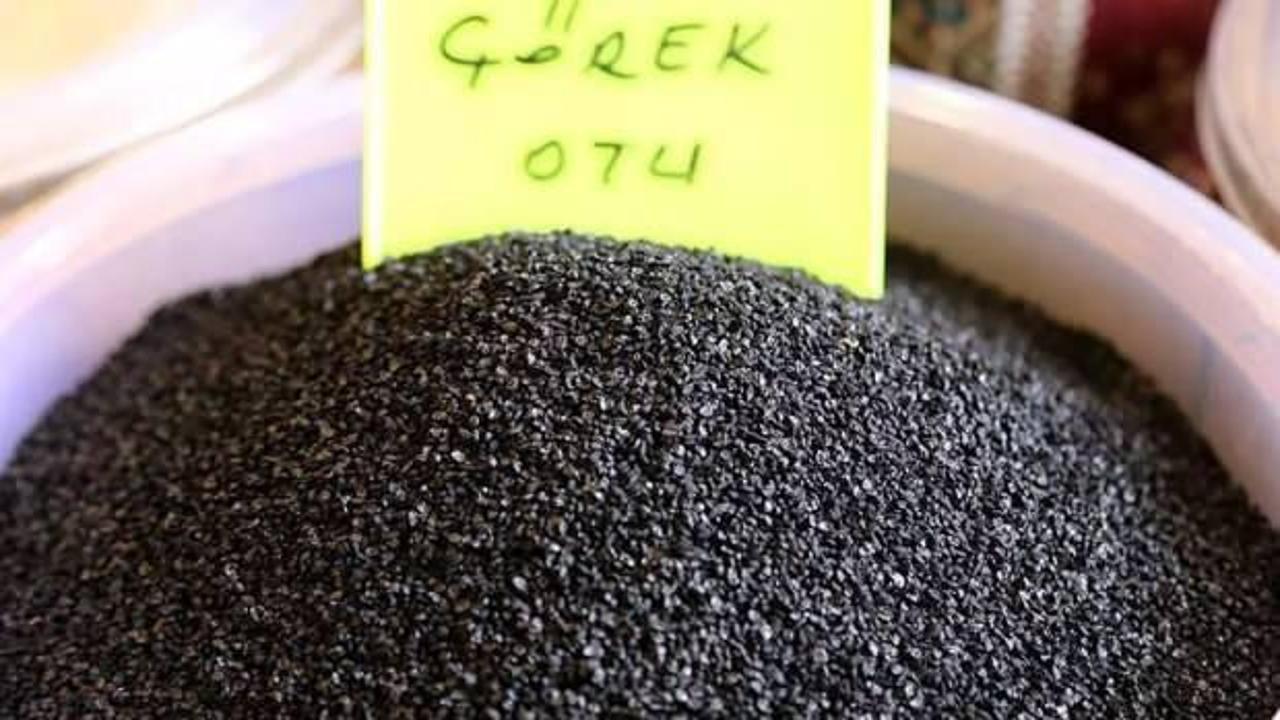 Sabahları aç karına çörek otu yemenin faydaları nelerdir? Gece yatmadan önce çörek otu yağı içmek…