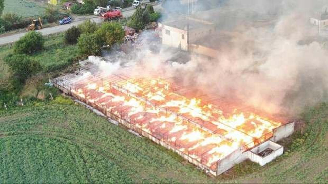 Depodaki yangında 160 ton kozalak küle döndü