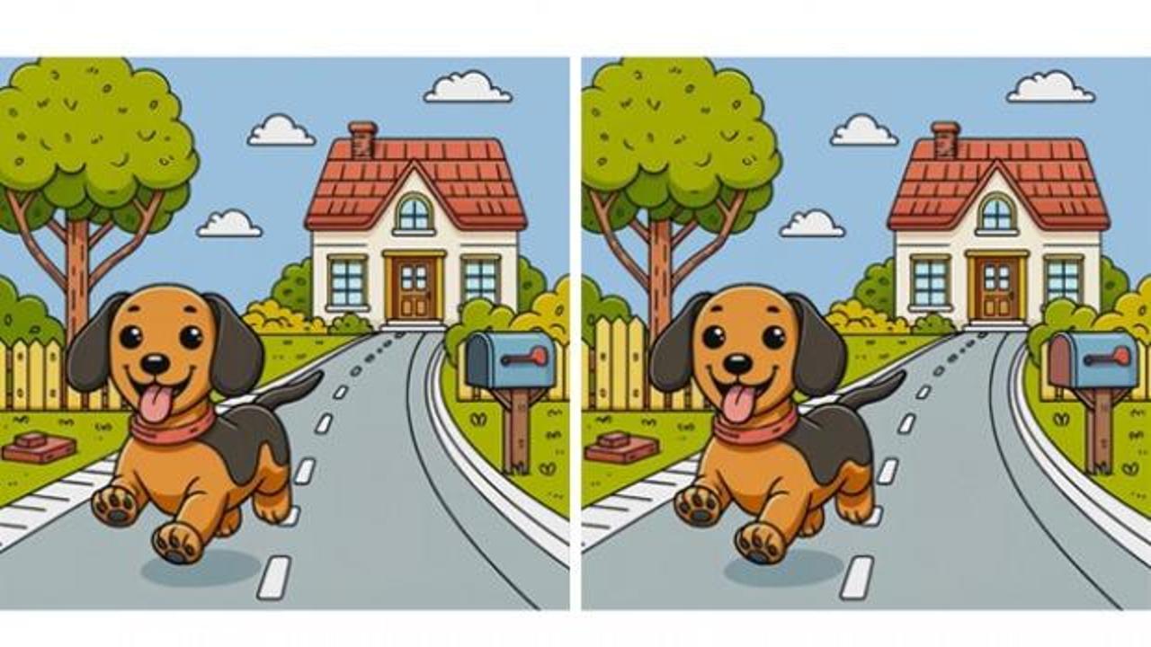 Dışarıda olduğu için çok mutlu olan ve koşarak eğlenen yavru köpeğe ait iki resim arasındaki 3 farkı bulabilir misin?