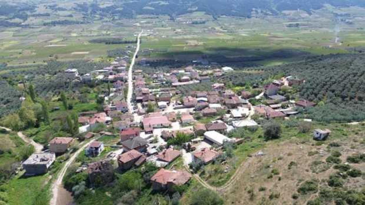 Duyan koşarak geliyor! ‘Şeker hastalığının çaresi bu köyde’