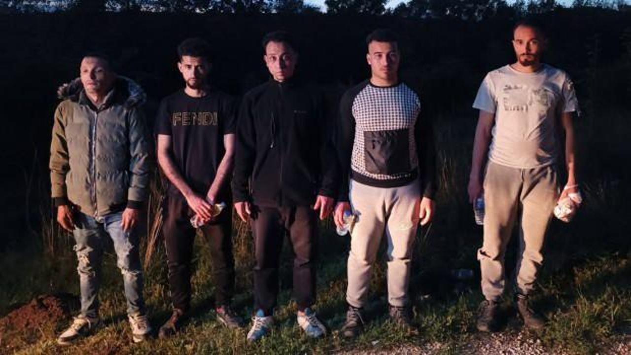 Edirne’de 5 kaçak göçmen yakalandı