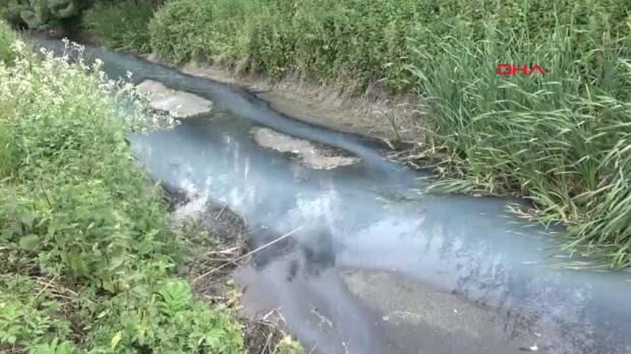 Fabrikanın kanala bıraktığı atıklar nedeniyle oluşan ‘kötü koku’ sorunu çözülemiyor