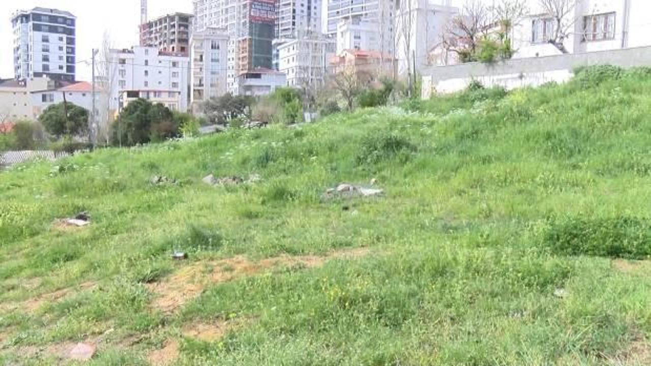 İstanbul’da sokak köpeği dehşeti: 7 yaşındaki Çağrı’ya 30 dikiş atıldı!