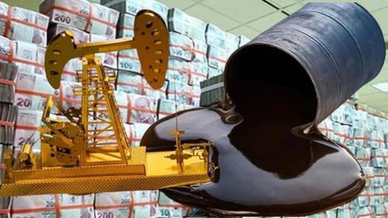 İşte Türkiye’nin Gabar petrolü ve Karadeniz gazından kazancı