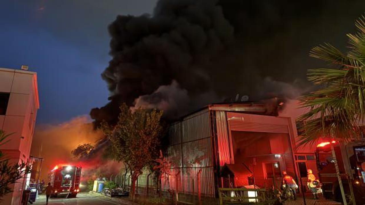 İzmir’de peş peşe yangınlar