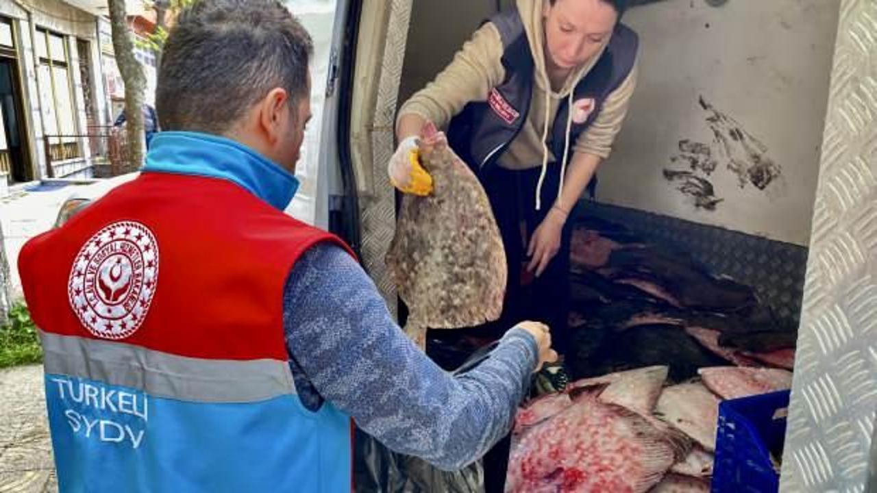 Kaçak yolla avlanan 340 kalkan balığı ele geçirildi