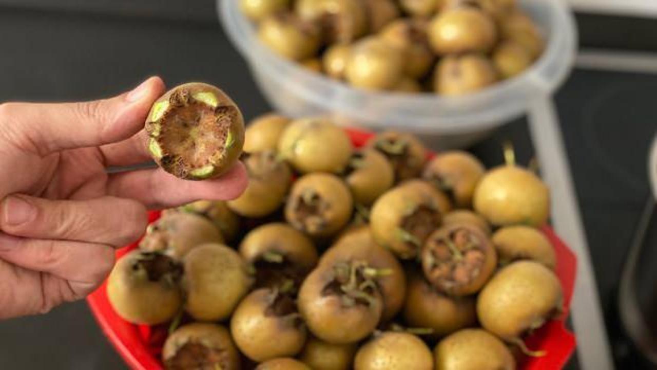 Muşmula, Töngel meyvesinin faydaları: Muşmula çekirdeği ve yaprağı! Muşmula neye iyi gelir?
