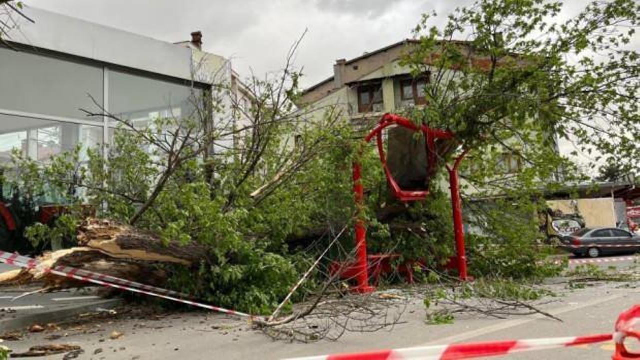 Otobüs durağına ağaç devrildi