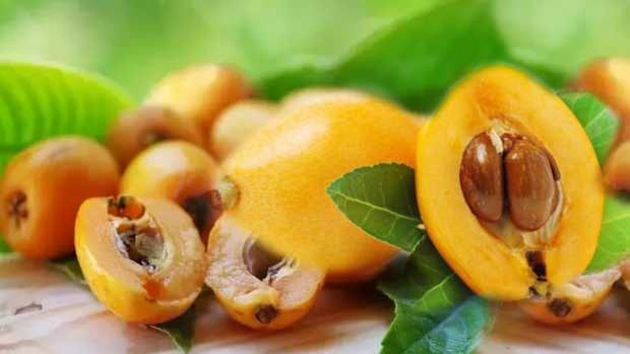 Yenidünya meyvesi hastalıklara iyi gelir? Yenidünya yaprağı faydaları!