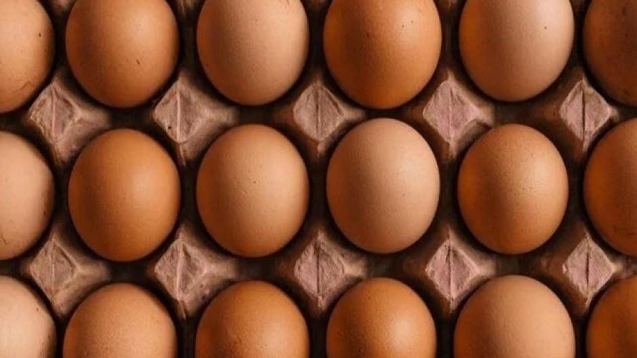 Yumurta fiyatları “mayıs çukuru”na yuvarlandı