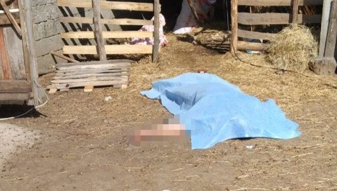 Elektrik akımına kapıldı hayatını kaybetti