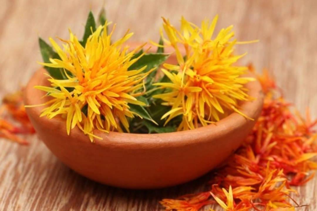 Aspir çiçeği çayı faydaları nelerdir, nasıl yapılır? Aspir bitkisi kullanım alanları!