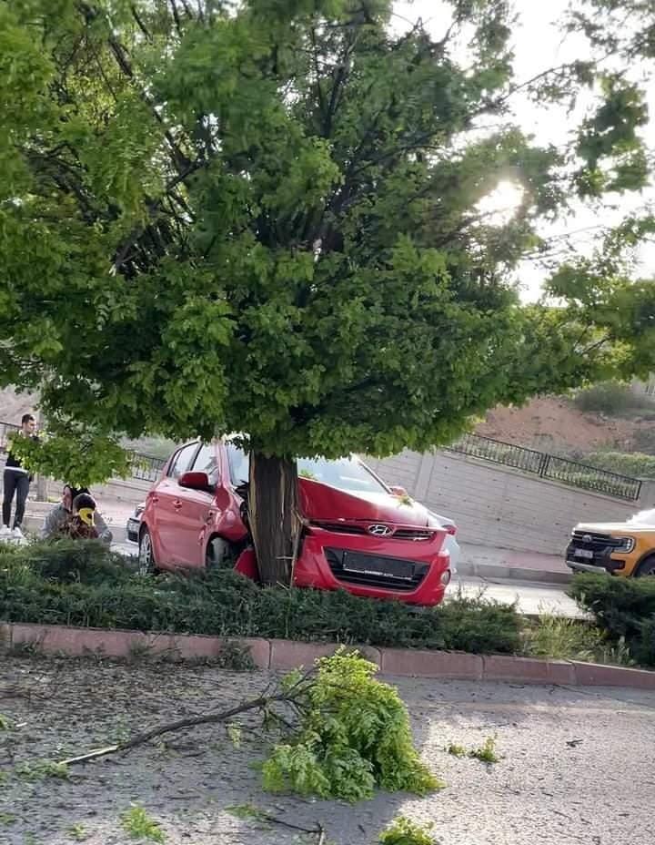 Elazığ’da otomobil ağaca çarptı: Yaralılar var