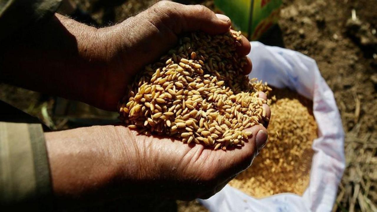 Türkiye’nin tohumda İsrail’e bağımlılığı yok