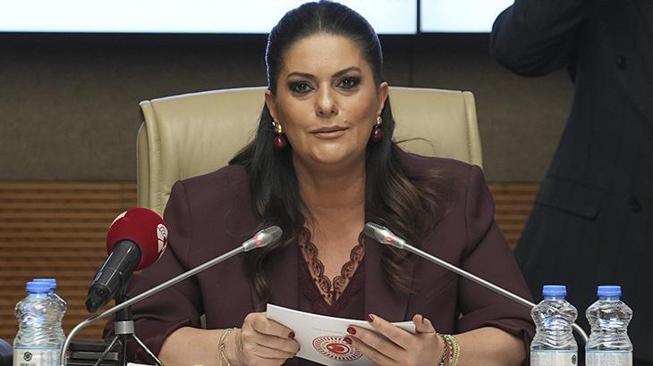  TBMM İnsan Hakları Komisyonu’nda Engelli Bireylere Yönelik Çalışmalar Sunuldu