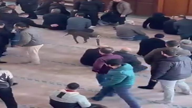 Camide Yasaklı Irk Köpek Dehşeti: Vaaz Sırasında Cemaat Tedirgin Oldu