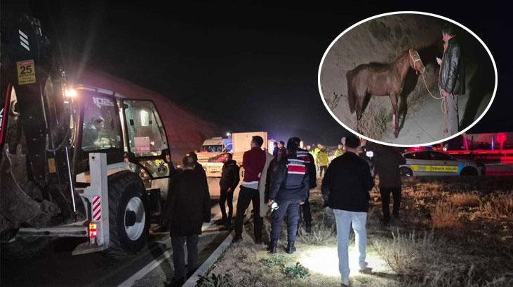 Sultansuyu’nda Facia Yola Çıkan Yarış Tayları Telef Oldu